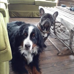 Meet your Posher, Laurence